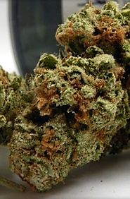 Buy Quality Weed Strains - Buy Cocaine Online