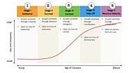 How Basic Bookkeeping Gets Transformed into Management Accounting as Business Expands?