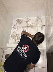 Signs and Prominent Causes of a Leaking Shower