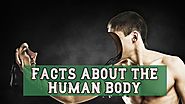 Facts About the Human Body Amazing Facts and Information