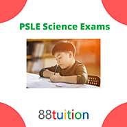 Tips to ace PSLE science paper for children