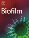 The future of biofilm research – Report on the ‘2019 Biofilm Bash’