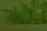 Some Precautions To Take When You Buy Hemp Oil Online | shopswell