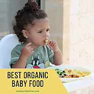 Best Organic Baby Food in World