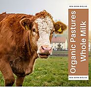Organic Pastures Raw Whole Milk - NewBornBioLive
