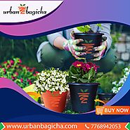 buy online pots in india