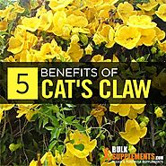 Cat’s Claw Extract: Benefits, Side Effects & Dosage | BulkSupplements.com