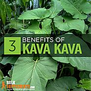 Kava Kava Extract: Benefits, Side Effects & Dosage | BulkSupplements.com