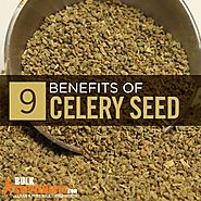 Celery Seed Extract: Benefits, Side Effects & Dosage | BulkSupplements.com