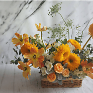 Know the Tricks to Pick the Right Flowers for the Right Occasions