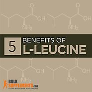 L-Leucine: Benefits, Side Effects & Dosage | BulkSupplements.com