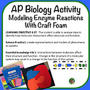 Ap Biology Activities & Worksheets | Teachers Pay Teachers