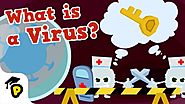 Coronavirus Outbreak | What is a virus? | Kids Learn Cartoon | Dr. Panda TotoTime