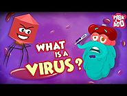 What Is A Virus ? | Best Learning Videos For Kids | Dr Binocs | Peekaboo Kidz