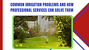 Professional Maintenance of Irrigation Service