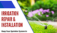 Complete Irrigation Systems for Your Garden