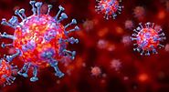 Know more information about coronavirus in Geneve