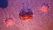 All you need to know about coronavirus Schweiz news