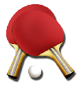 Best Table Tennis Paddles Reviews in 2014 - Table Tennis Bat/Racket under 100 and 50 (with image) · aabudara