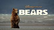 Bears (2014)