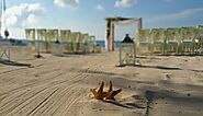 What Makes the Cayman Islands the Best Wedding Venue?