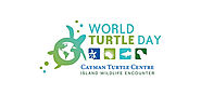 Turtle Centre Exploration Tour - Cayman Turtle Centre