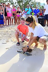 News and Events of Cayman Turtle Centre