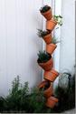 DIY Vertical Gardening