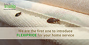 Different Steps to Take for Isolating Bed Bugs at Home