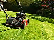 Simple Tips to Maintain a Lawn - Brantford Property Management
