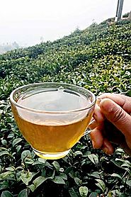 Darjeeling Tea Estate for Chai Enthusiasts - Vogue India