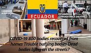 COVID-19 800 bodies recovered from homes Trouble burying bodies Dead bodies lying on the streets?
