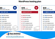 Best WordPress Hosting Solution We Provide!