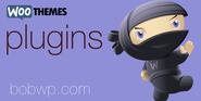 A List of Plugins for WooThemes