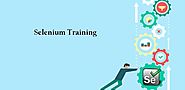 Selenium Training Toronto – Online Selenium Course | GetSoftwareService.com