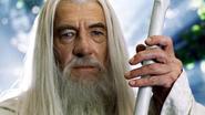Sean Connery and Ian McKellen were first offered the role of Gandalf The Grey