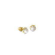 Aquae Jewels — Guide to diamond and ruby earrings