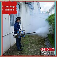 Do’s and Don’ts while getting a pest control - 24x7 Pest Control - Medium