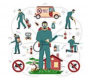 Top-Notch pest control services in Lucknow: 24x7pestcontrol — LiveJournal