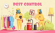 What to do Before and After Pest Control Treatment? – 24×7 Pest Control