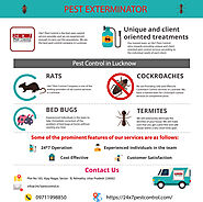 Best Pest Control Company in Lucknow