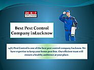 Pest Control Company In Lucknow