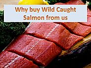 Why buy Wild Caught Salmon From Us