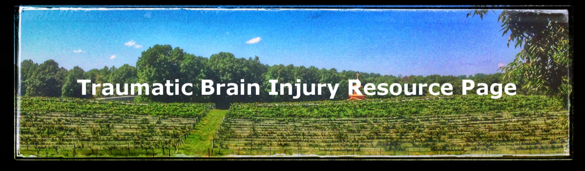 Headline for Traumatic Brain Injury Resource List