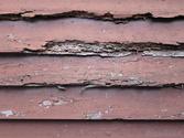 What Are the Different Methods of Termite Control?