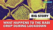 Big Story | What happens to the Rabi crops during lockdown?