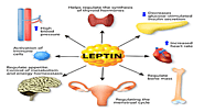 Leptitox Reviews - Leptitox A SCAM? - @marryjane - Steem - GoldVoice.club