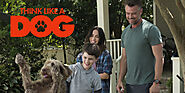 Watch Free Movie Think Like a Dog 2020 Movieninja Online