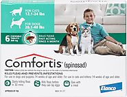 comfortis for dog