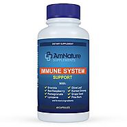 Immune System Support- Superior Anti-Oxidant and Immune System Booster with 20 Immune Syste… | Immune system support,...
